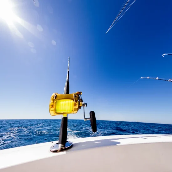 iStock-502741199 (1)